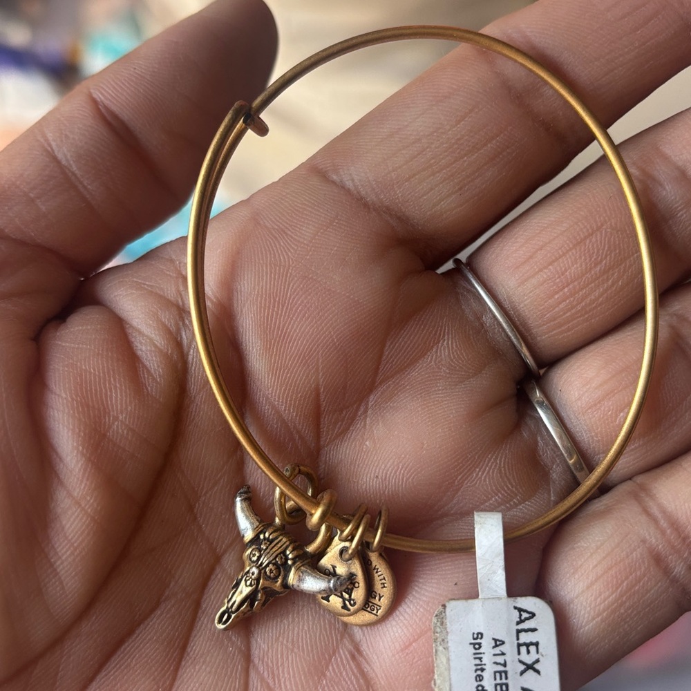 ❤️... Alex and Ani Bullhead Western Bracelet Boho spirited Skull